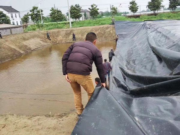 鱼塘防渗膜