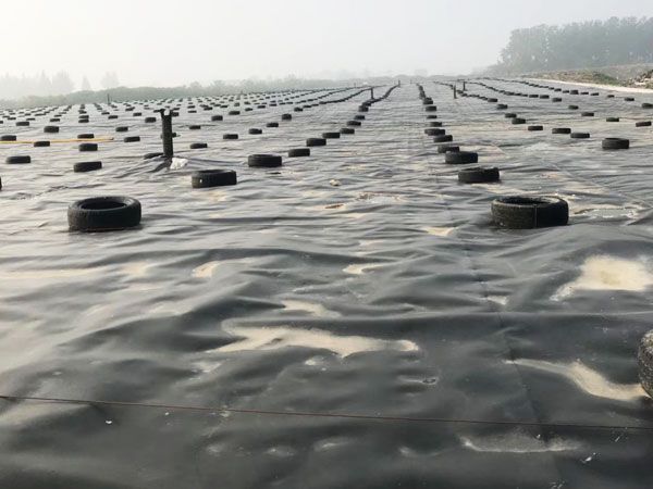 湖南长污水处理厂土工膜工程