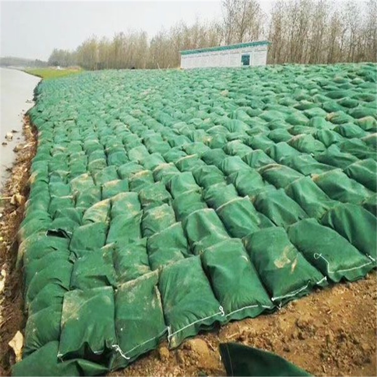 生态袋厂家山东路易达讲解生态袋施工